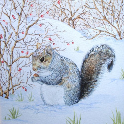cute gray squirrel eating nuts snow scene wildlife gift tags