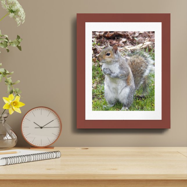 Cute Gray Squirrel Photographic Nature Framed Art (Table Top)