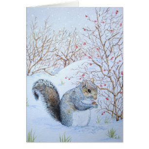 cute gray squirrel snow scene wildlife cards