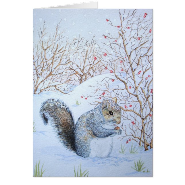 cute gray squirrel snow scene wildlife cards (Front)