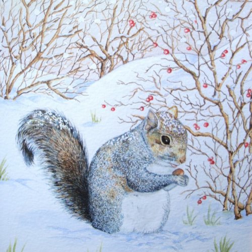 cute gray squirrel snow scene wildlife envelope