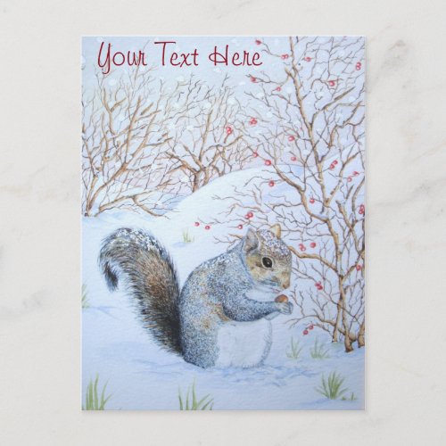 cute gray squirrel snow scene wildlife  postcard