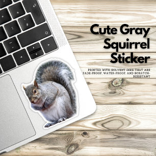Cute Gray Squirrel Sticker