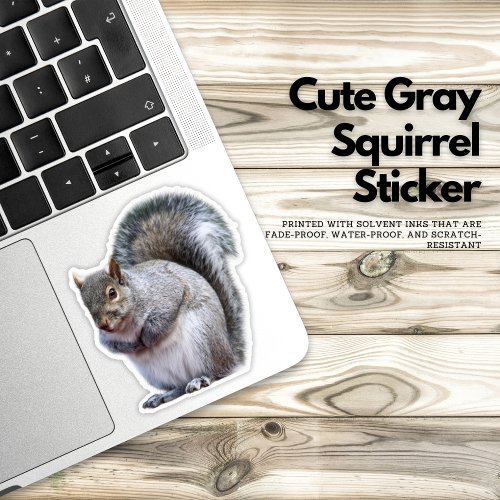 Cute Gray Squirrel Sticker