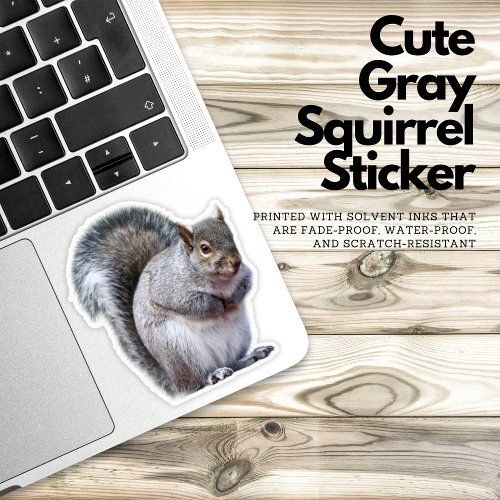 Cute Gray Squirrel Sticker