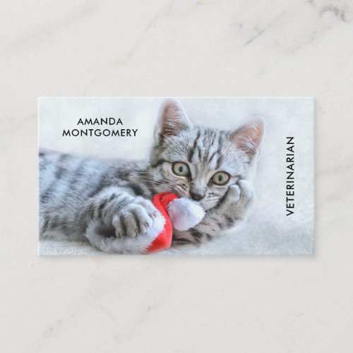 Cute Gray Tabby Cat Christmas Hat Xmas Business Card