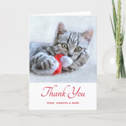 Cute Gray Tabby Cat Christmas Hat Xmas Card