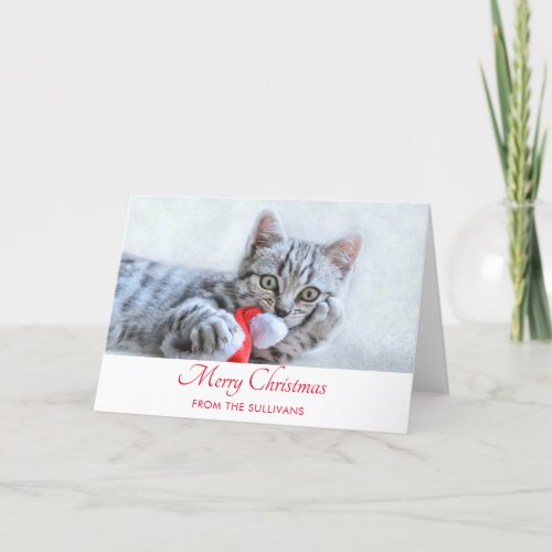 Cute Gray Tabby Cat Christmas Hat Xmas Card