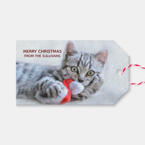 Cute Gray Tabby Cat Christmas Hat Xmas Gift Tags