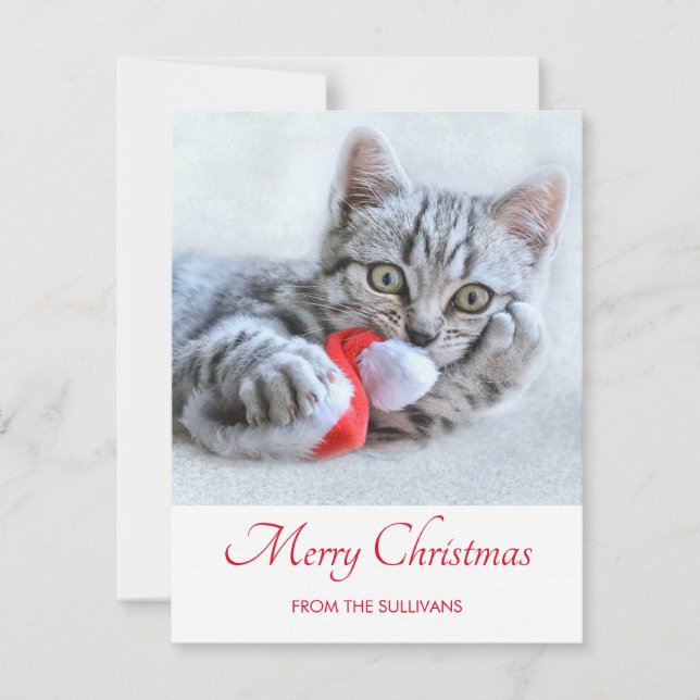 Cute Gray Tabby Cat Christmas Hat Xmas Holiday Card (Front)