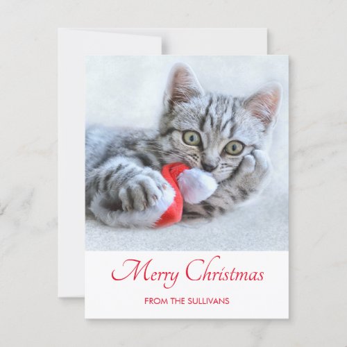Cute Gray Tabby Cat Christmas Hat Xmas Holiday Card
