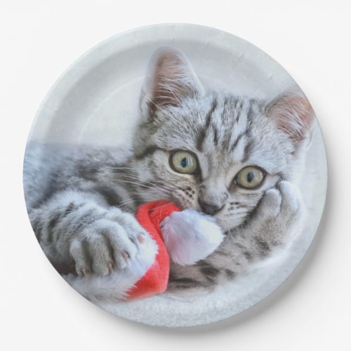 Cute Gray Tabby Cat Christmas Hat Xmas Paper Plates