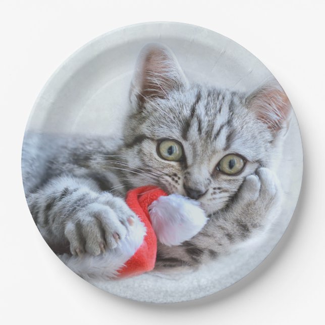 Cute Gray Tabby Cat Christmas Hat Xmas Paper Plates (Front)