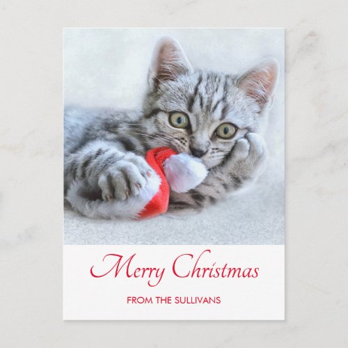 Cute Gray Tabby Cat Christmas Hat Xmas Postcard