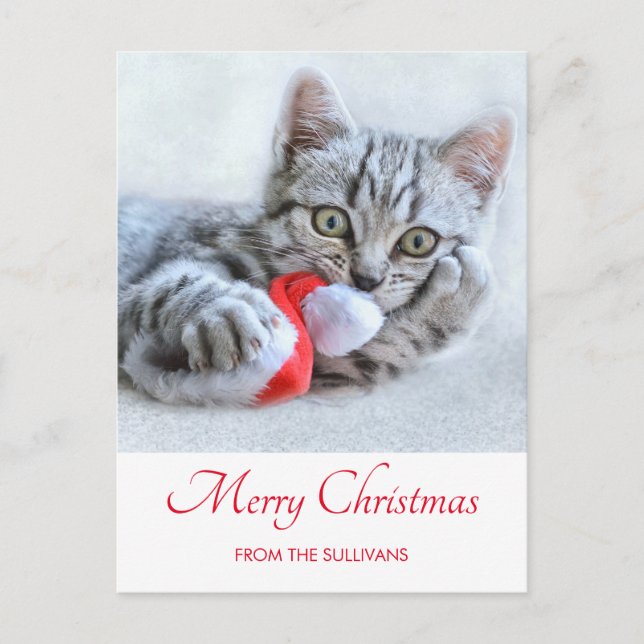 Cute Gray Tabby Cat Christmas Hat Xmas Postcard (Front)