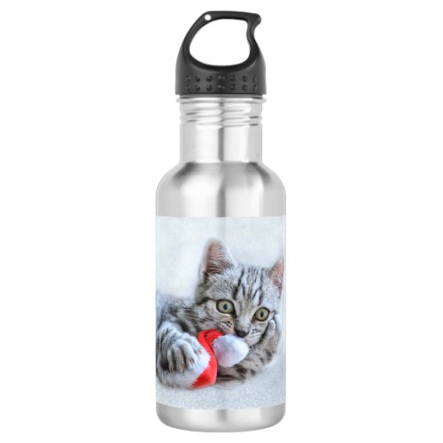 Cute Gray Tabby Cat Christmas Hat Xmas Stainless Steel Water Bottle