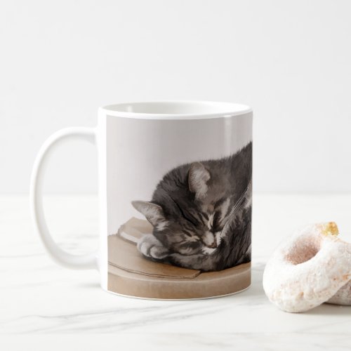 Cute Gray Tabby Cat Sleeping On Box Coffee Mug