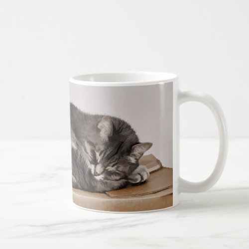 Cute Gray Tabby Cat Sleeping On Box  Coffee Mug
