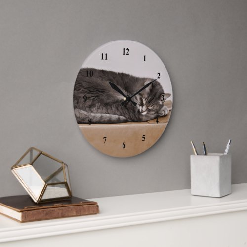 Cute Gray Tabby Cat Sleeping On Box Large Clock