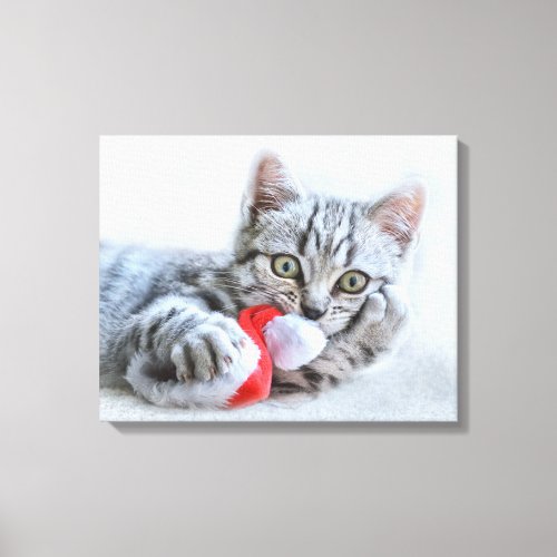 Cute Gray Tabby Cat w Christmas Hat Xmas Canvas Print