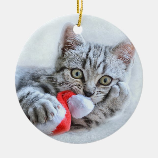 Cute Gray Tabby Cat w/ Christmas Hat Xmas Ceramic Ornament (Front)