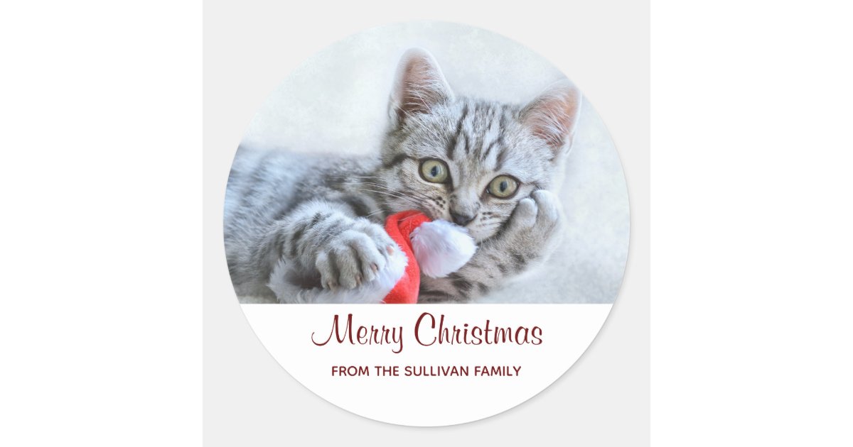 Cute Gray Tabby Cat W Christmas Hat Xmas Classic Round Sticker