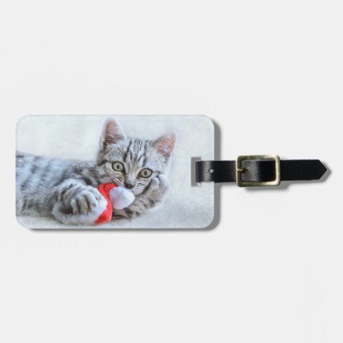 Cute Gray Tabby Cat w Christmas Hat Xmas Luggage Tag