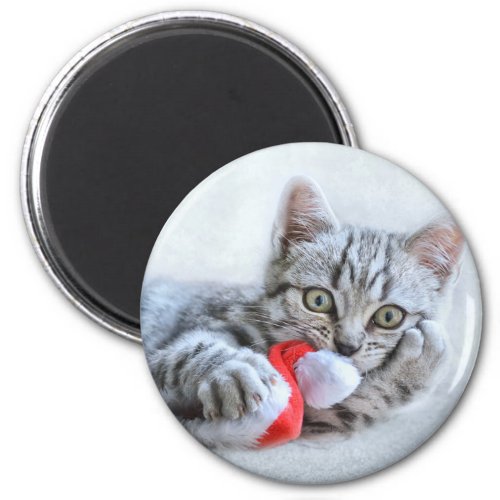 Cute Gray Tabby Cat w Christmas Hat Xmas Magnet