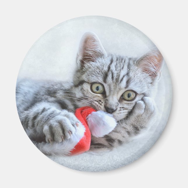 Cute Gray Tabby Cat w/ Christmas Hat Xmas Magnet (Front)