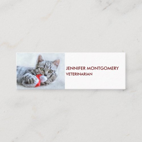 Cute Gray Tabby Cat w Christmas Hat Xmas Mini Business Card
