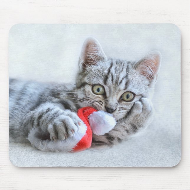 Cute Gray Tabby Cat w/ Christmas Hat Xmas Mouse Pad (Front)