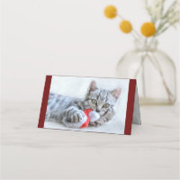 Cute Gray Tabby Cat w/ Christmas Hat Xmas