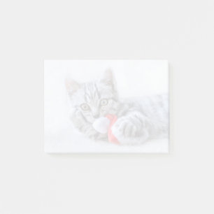 Cute Gray Tabby Cat w/ Christmas Hat Xmas Post-it Notes