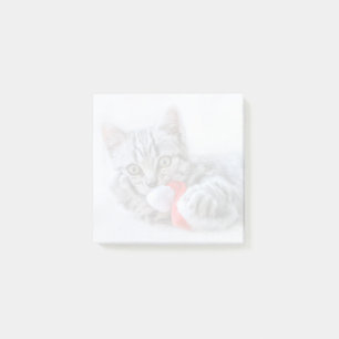 Cute Gray Tabby Cat w/ Christmas Hat Xmas Post-it Notes