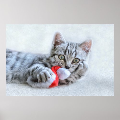 Cute Gray Tabby Cat w Christmas Hat Xmas Poster