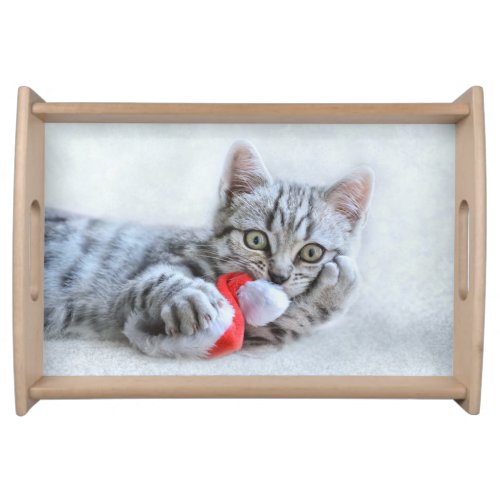 Cute Gray Tabby Cat w Christmas Hat Xmas Serving Tray