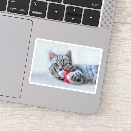Cute Gray Tabby Cat w Christmas Hat Xmas Sticker