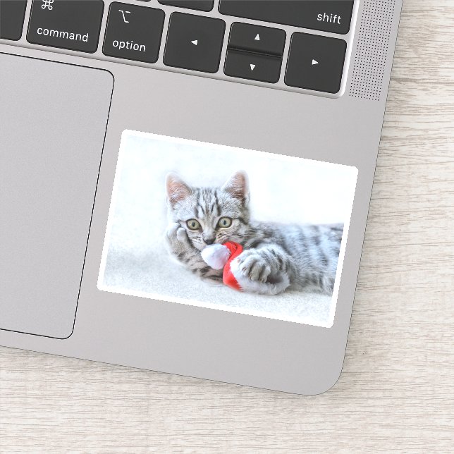Cute Gray Tabby Cat w/ Christmas Hat Xmas Sticker (Detail)
