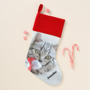 Cute Gray Tabby Cat w/ Christmas Hat Xmas Stocking