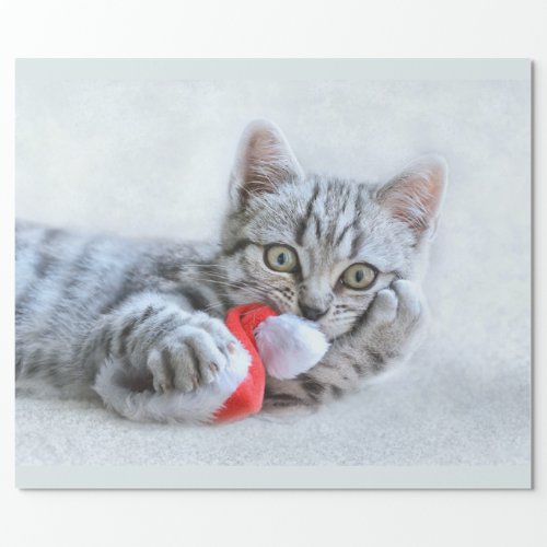 Cute Gray Tabby Cat w Christmas Hat Xmas Wrapping Paper