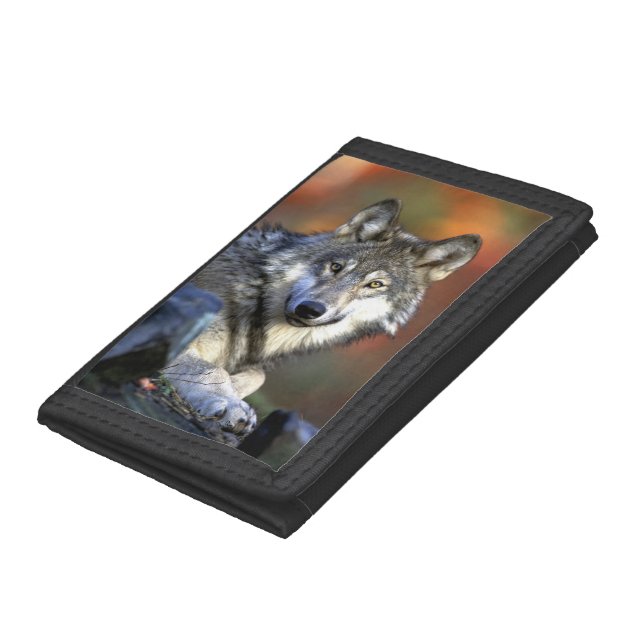 Cute Gray Wolf - Timber Wolf Trifold Wallet (Bottom)