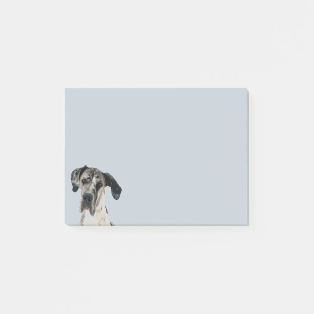 Cute Great Dane Dog Pet Animal Art Post-it Notes (Front)