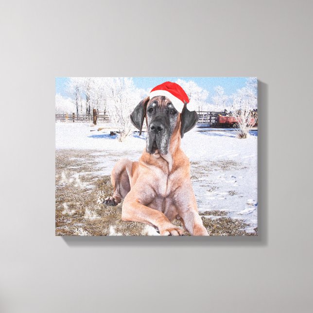 Cute Great Dane Dog Sitting In Snow Christmas Hat Canvas Print (Front)