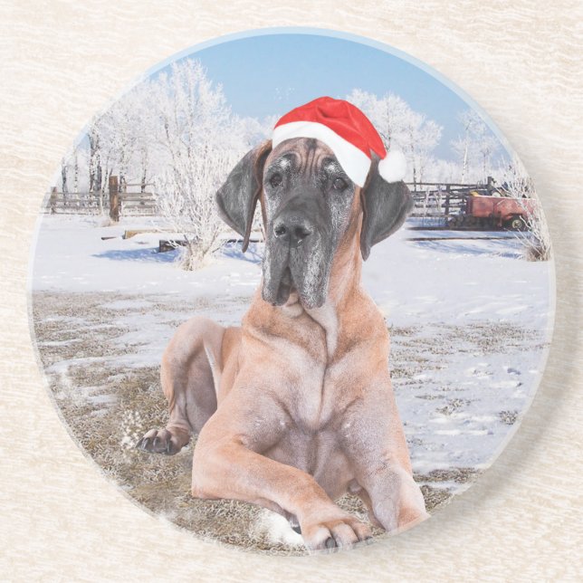Cute Great Dane Dog Sitting In Snow Christmas Hat Drink Coaster (Front)