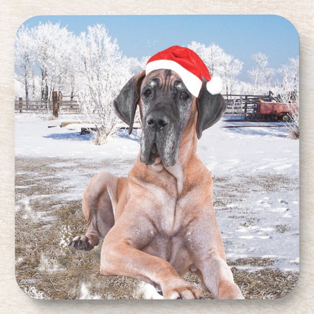 Cute Great Dane Dog Sitting In Snow Christmas Hat Drink Coaster (Front)