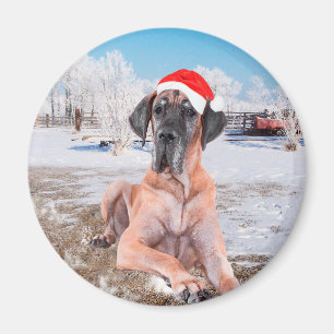 Cute Great Dane Dog Sitting In Snow Christmas Hat Magnet