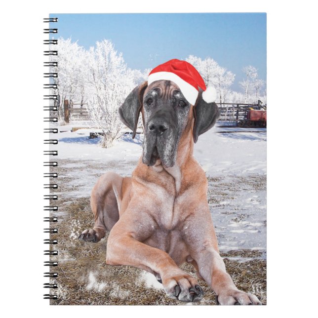 Cute Great Dane Dog Sitting In Snow Christmas Hat Notebook (Front)