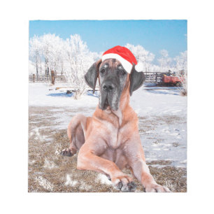 Cute Great Dane Dog Sitting In Snow Christmas Hat Notepad