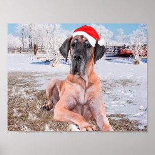 Cute Great Dane Dog Sitting In Snow Christmas Hat Poster