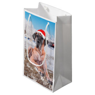 Cute Great Dane Dog Sitting In Snow Christmas Hat Small Gift Bag